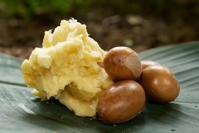 Shea Butter Benefits and Uses for Skin, Hair, Baby Care & More